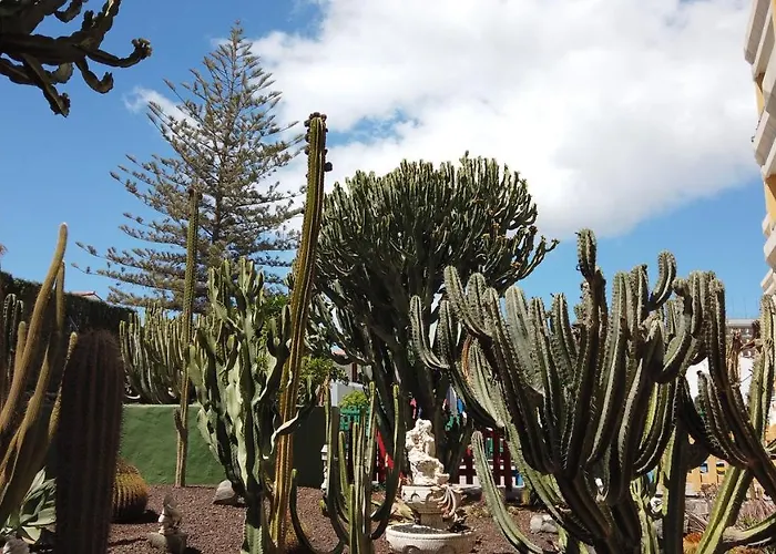 Apartament Montemar Playa del Inglés