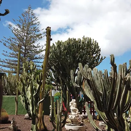 Apartamento Montemar Playa del Inglés