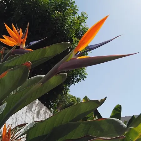 蒙特马尔公寓酒店 公寓